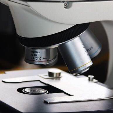 Parkinson Ursachen Forschung