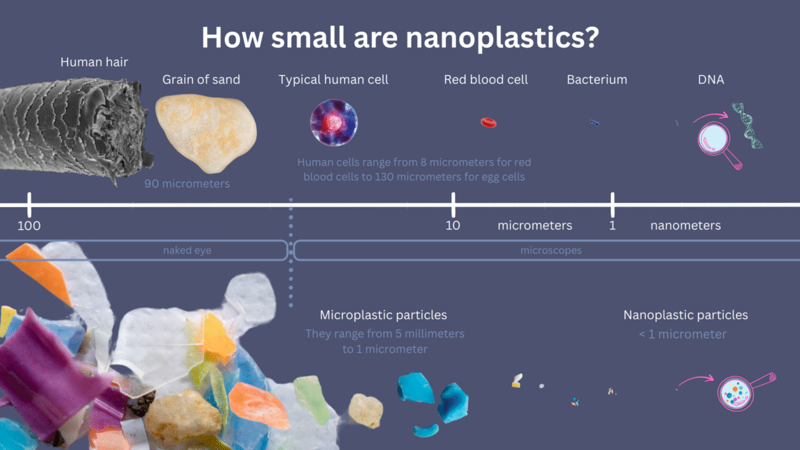 Größenvergleich von Nanoplastik, Mikroplastik, Sandkorn und menschlichem Haar zur Veranschaulichung der Partikelgröße.
